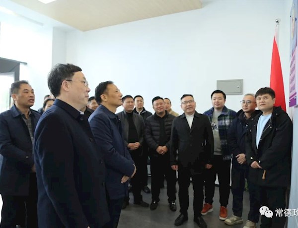 黄清宇带队走访民革、民建界别政协委员暨调研委员工作室建设