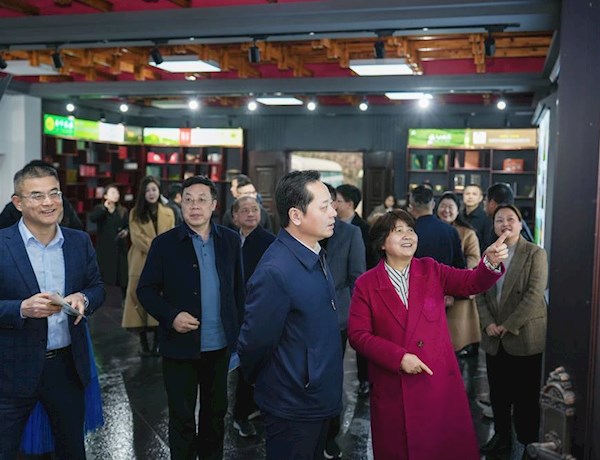 汤祚国带队赴桃源县走访政协委员
