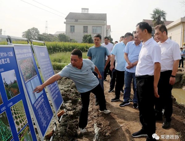 委员“沉下去” 履职“强起来”——全市政协系统深入开展“委员活动日”活动