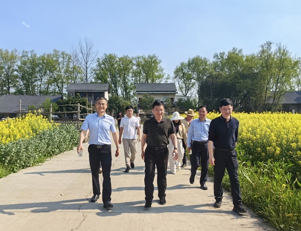 朱金平带队赴白麟洲开展推进“农文旅融合发展，培育农村发展新业态”课题调研