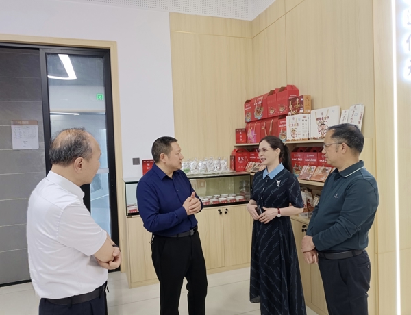 张业梅带队赴四川考察调研