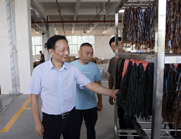 黄清宇赴澧县调研