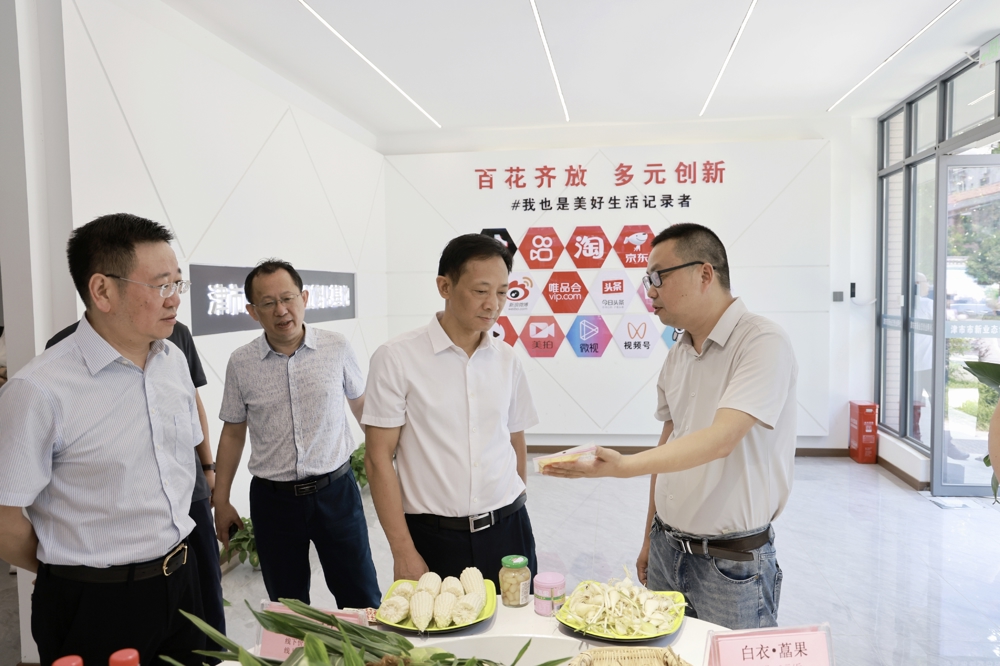 黄清宇调研津市