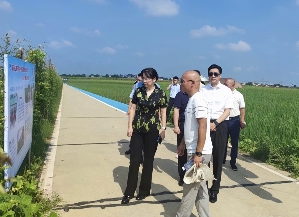 2.视察现场