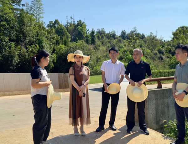 张业梅赴汉寿县调研乡村振兴工作