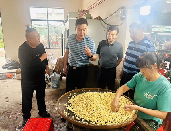 王鳌赴澧县调研乡村振兴驻村帮扶工作