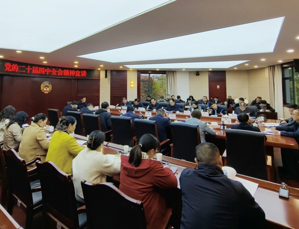 市政协专题传达学习党的二十届四中全会精神