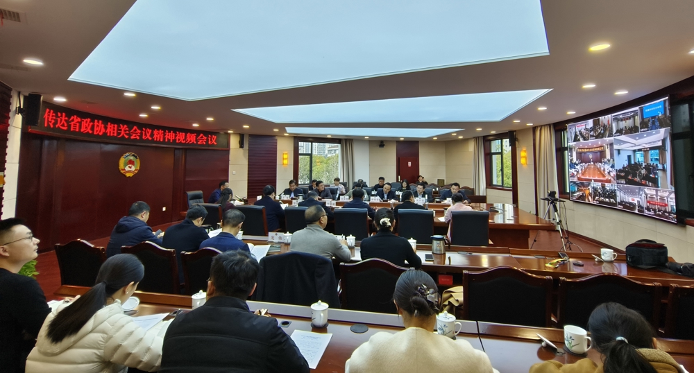 市政协召开视频会议 传达学习省政协十三届十八次常委会会议有关精神
