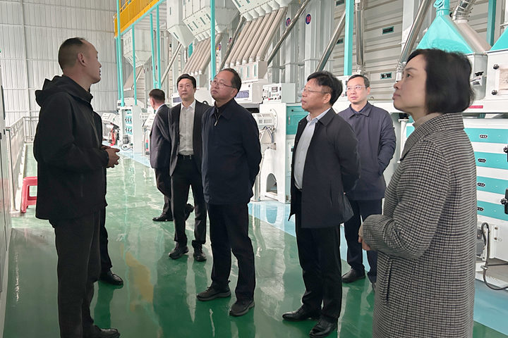 陈宏元赴石门县调研民营经济发展情况