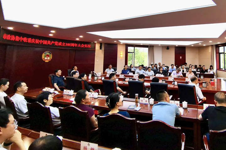 赓续红色血脉 勇担时代使命 市政协集中收看庆祝中国共产党成立105周年大会直播