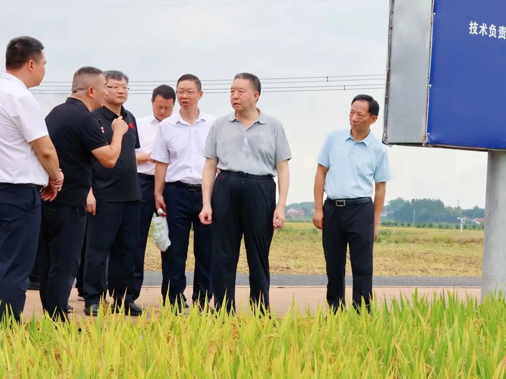 毛万春在常德调研：扛牢粮食安全责任 因地制宜推动产业升级与乡村全面振兴
