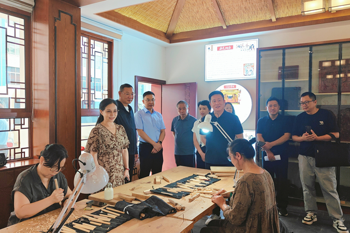 张业梅带队开展民盟界别委员走访调研
